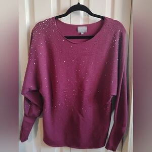 Berkeley Jensen Plum Embellished Dolman Sleeve Sweater